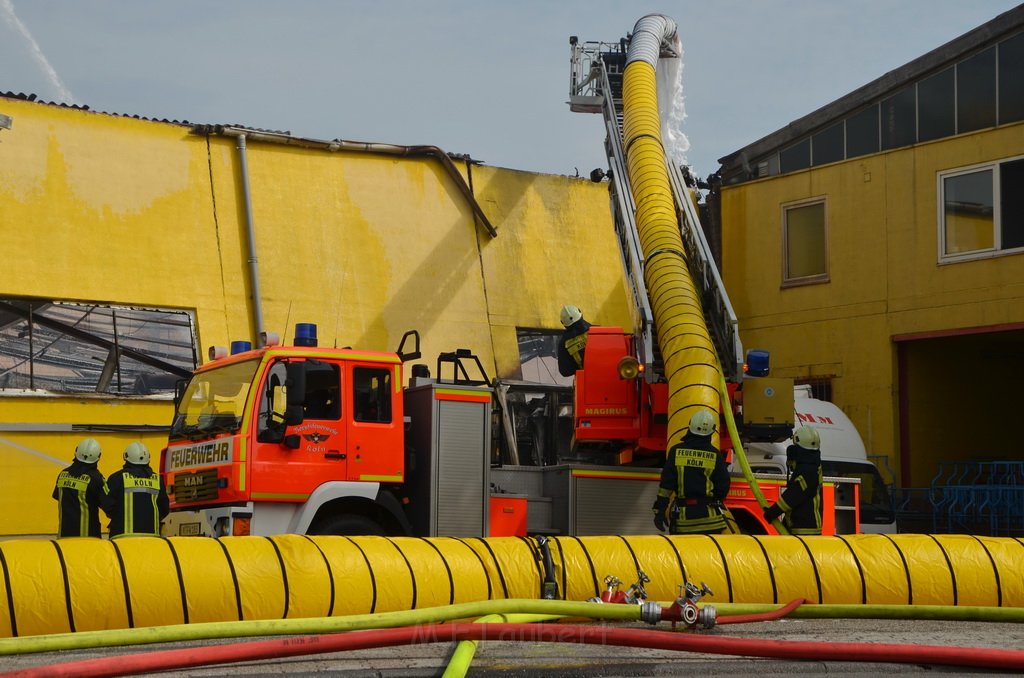 Grossfeuer Poco Lager Koeln Porz Gremberghoven Hansestr P814.jpg - Miklos Laubert